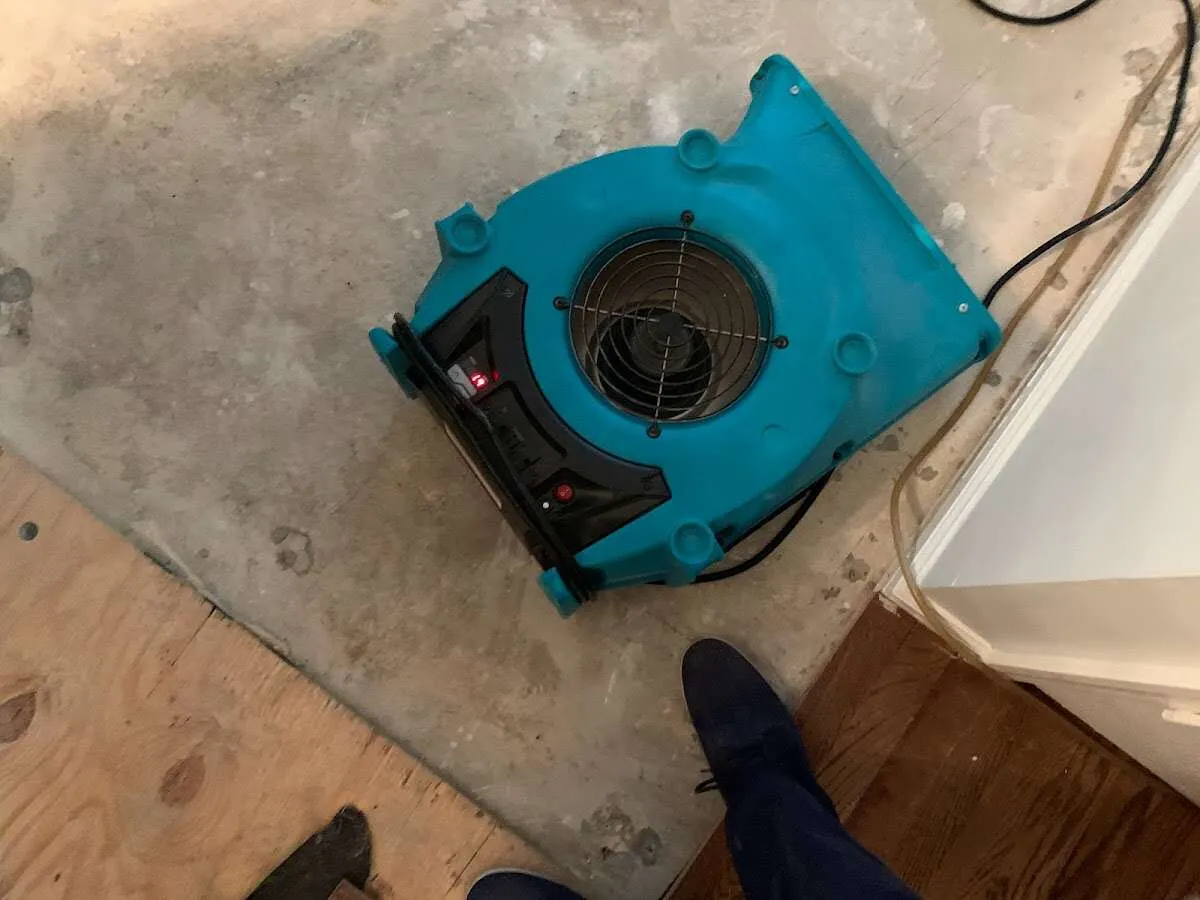 Air mover drying subfloor during Commercial Water Damage Restoration in Medulla
